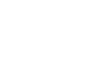 FiveM Logo